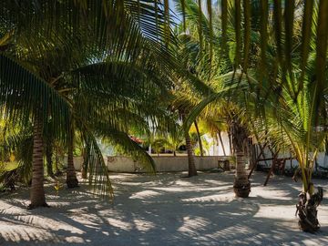 Casa de gran terreno frente al mar de Telchac Pto. Yucatán