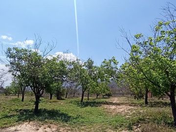 TERRENO EN VENTA ICAMOLE