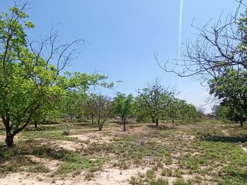 TERRENO EN VENTA ICAMOLE