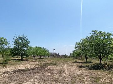 TERRENO EN VENTA ICAMOLE