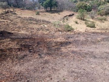 SE VENDEN LOTES EN EL ARENAL HUIXQUILUCAN (MUY CERCA DE BOSQUE REAL)