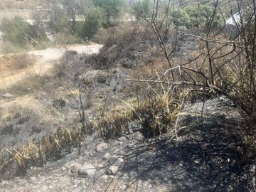 SE VENDEN LOTES EN EL ARENAL HUIXQUILUCAN (MUY CERCA DE BOSQUE REAL)