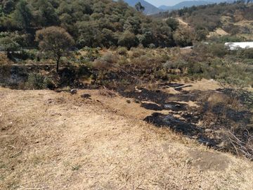SE VENDEN  LOTES A ESPALDAS DE BOSQUE REAL