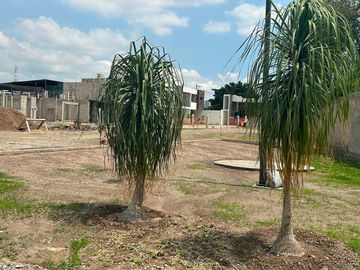 TERRENOS EN VENTA EN EL DESARROLLO KALA, COTO PRIVADO DE 37 LOTES