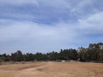 VENDO TERRENO DE 10 MIL M2 EN ALGARROBO