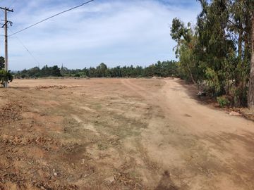VENDO TERRENO DE 10 MIL M2 EN ALGARROBO
