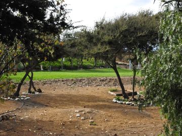 OPORTUNIDAD DE INVERSIÓN, PARCELA PARA EVENTOS, PUNITAQUI