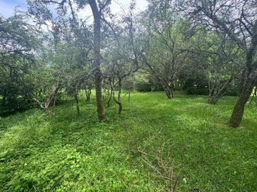 VENTA TERRENO 956,86 M2 - B° ALTO LA VIÑA