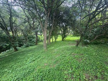VENTA TERRENO 956,86 M2 - B° ALTO LA VIÑA