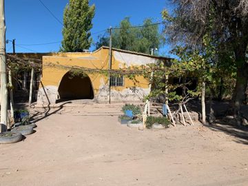 VENTA FINCA 79 HA - SAN MARTIN - MENDOZA
