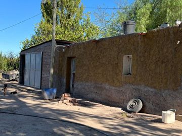 VENTA FINCA 79 HA - SAN MARTIN - MENDOZA