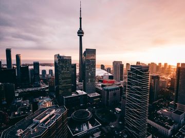 Network Publication Open - Test de property type