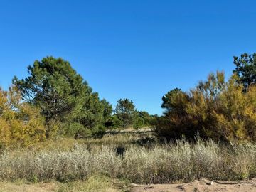 NUEVOS LOTES UNIFAMILIARES MUY CERCA DE LA PLAYA.