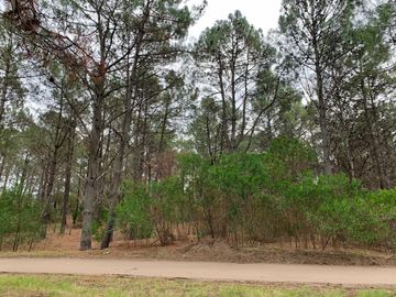 NUEVO INGRESO PINAR DEL GOLF