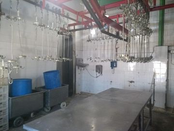 Planta, Frigorifico C/ Senasa Vacuno/porcino Mataderos