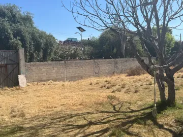 Terreno en Venta en Concepción Guadalupe, San Andrés Cholula, Puebla