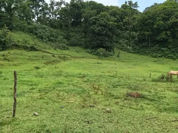 Terreno en venta en 3 de Mayo, Banderilla, Veracruz de Ignacio de la Llave