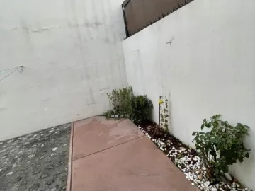Casa en renta en Puerta de Hierro, Monterrey, Nuevo León