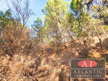 Hermoso terreno en Venta en Pinar del Golf