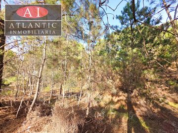 Hermoso terreno en Venta en Pinar del Golf