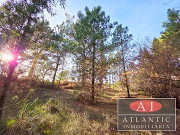 Hermoso terreno en Venta en Pinar del Golf