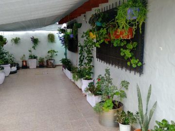 Dos casas sobre un mismo lote, en esquina