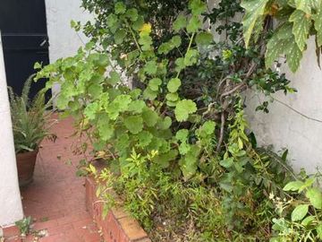 CASA PH DE 3 AMBIENTES EN VENTA - MORON NORTE