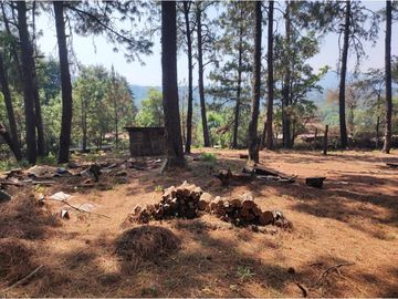 TERRENO EN RENTA | ACATITLAN | A PIE DE CARRETERA