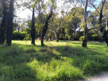 VENTA LOTE 700 MTR2 - SANTA CELINA
