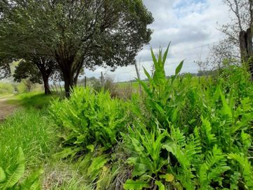 VENTA LOTE 20 DE JUNIO