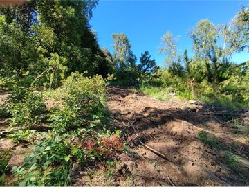 Venta terreno a orilla de carretera Pucón