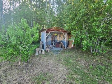 Arriendo Casa en Parcela con Bosque nativo