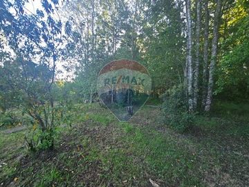 Arriendo Casa en Parcela con Bosque nativo