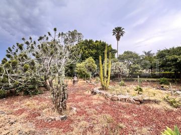 CASA DE CAMPO, RANCHO PRODUCTIVO, VENTA, YECAPIXTLA, MORELOS