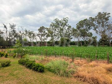 CASA DE CAMPO, RANCHO PRODUCTIVO, VENTA, YECAPIXTLA, MORELOS