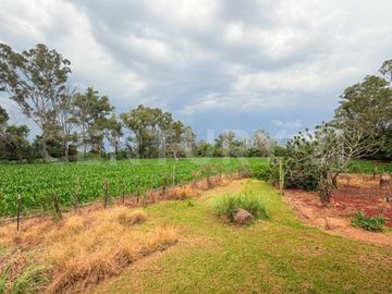 CASA DE CAMPO, RANCHO PRODUCTIVO, VENTA, YECAPIXTLA, MORELOS