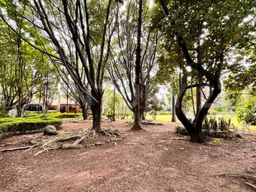 CASA DE CAMPO, RANCHO PRODUCTIVO, VENTA, YECAPIXTLA, MORELOS
