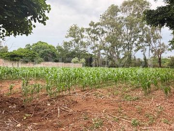 CASA DE CAMPO, RANCHO PRODUCTIVO, VENTA, YECAPIXTLA, MORELOS