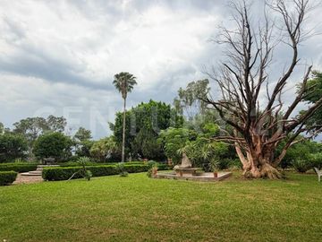 CASA DE CAMPO, RANCHO PRODUCTIVO, VENTA, YECAPIXTLA, MORELOS