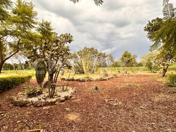 CASA DE CAMPO, RANCHO PRODUCTIVO, VENTA, YECAPIXTLA, MORELOS