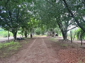 CASA DE CAMPO, RANCHO PRODUCTIVO, VENTA, YECAPIXTLA, MORELOS