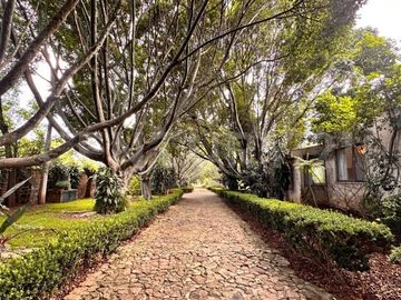 CASA DE CAMPO, RANCHO PRODUCTIVO, VENTA, YECAPIXTLA, MORELOS