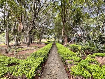 CASA DE CAMPO, RANCHO PRODUCTIVO, VENTA, YECAPIXTLA, MORELOS