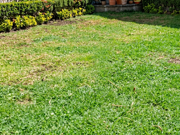 RESIDENCIA DE LUJO EN VENTA CON ELEVADOR, ROOF GARDEN, PANELES SOLARES Y VISTA P