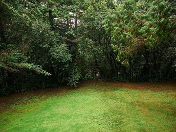 Casa Renta Desierto de los Leones Santa Rosa Xochiac Álvaro Obregon