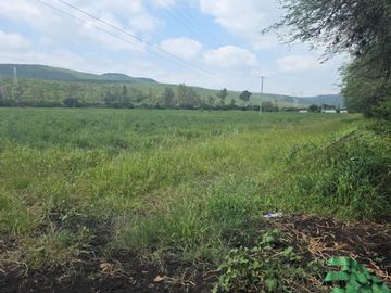 Terreno - Pueblo Lira