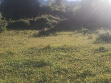 Parcela en venta  en PUYEHUE