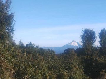 Parcela en venta  en PUYEHUE