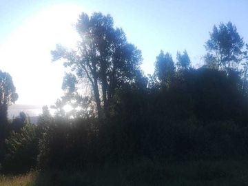 Parcela en venta  en PUYEHUE