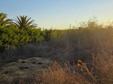 Parcela en venta  en TALAGANTE